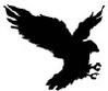 The-Nighthawk's profile image