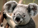 Deltam's profile image