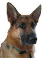 Kbeat's profile image