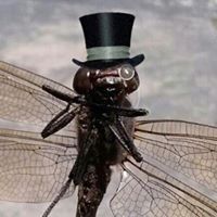 Racer27x's profile image