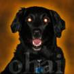 Beiju's profile image