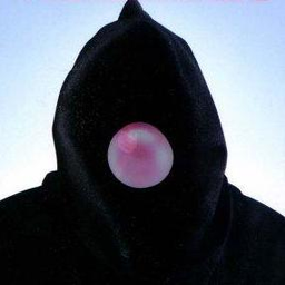 Y-Guy's profile image