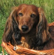 Qwerty1's profile image