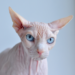 Quiiick's profile image