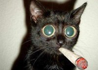 taki's profile image