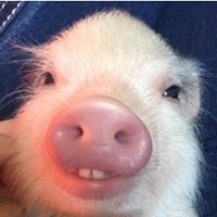 Andrew-Martin's profile image