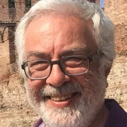 Fariborz's profile image