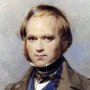 Kaspesla's profile image