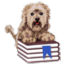 Bookdog