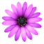 TextMate