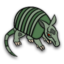 Armadillo