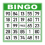 Bingo Caller