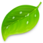 Coda