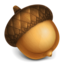 Acorn 6