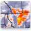 ECSatellite