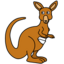 Quokka
