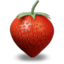HealthNut
