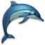 Dolphins 3D