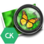 Focus CK