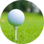 Golf League Organizer