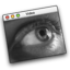 Video Viewer