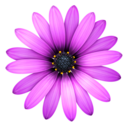 TextMate is part of developing OS X and iOS apps